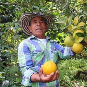 Ómar Cardona Álvarez