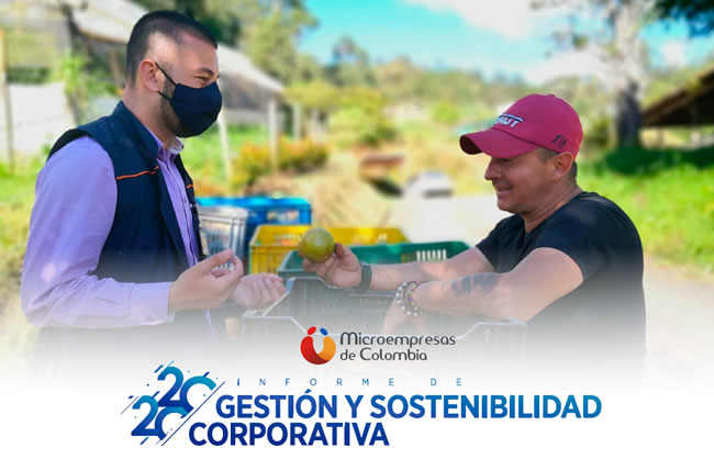 Informe de Gestión y Sostenibilidad Corporativa 2020